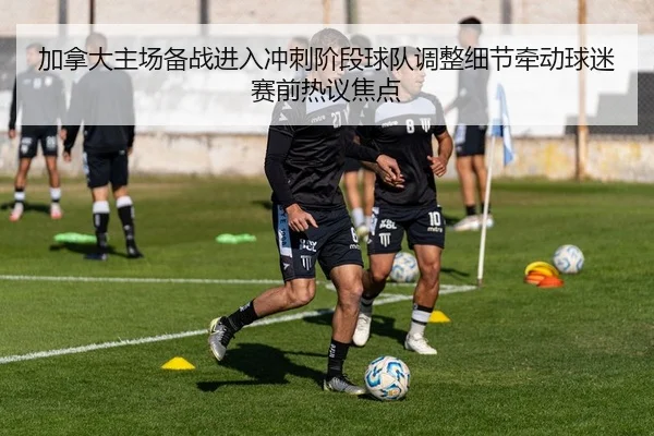 加拿大主场备战进入冲刺阶段球队调整细节牵动球迷赛前热议焦点（yuntiyu）